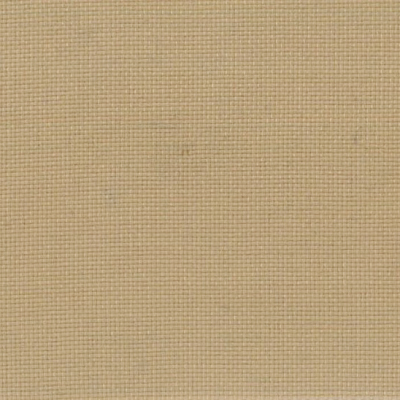 Caprice Outdoor Marlin Plain Weave Upholstery Fabric in Marula (146cm Wide)