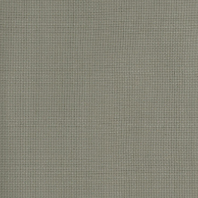 Caprice Outdoor Marlin Plain Weave Upholstery Fabric in Stone (146cm Wide)