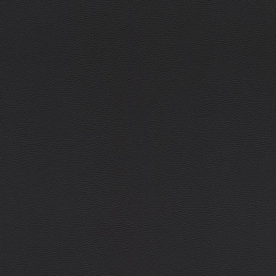 Silkhouse Casa Mila - Skin Deep Wallpaper in Noir