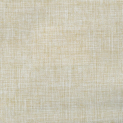 Caprice Outdoor Praia Slub Plain Weave Upholstery Fabric in Linen (146cm Wide)